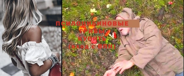 a pvp Горняк