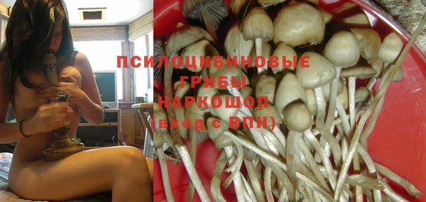 a pvp Горняк