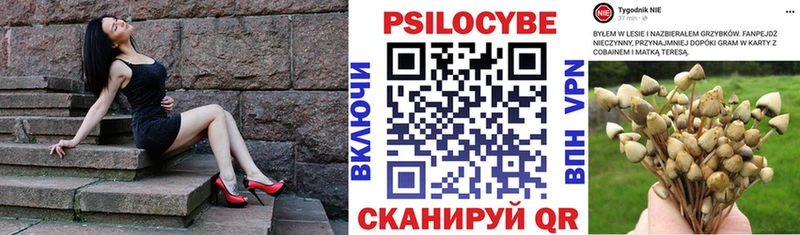 Галлюциногенные грибы мицелий  Череповец 